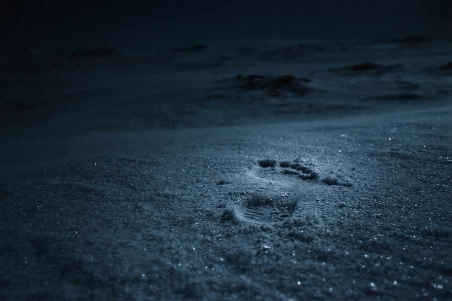 Huella descalza casi borrada sobre nieve dura